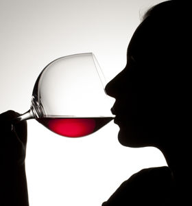 Primer Curso de Cata Bodegas Arane