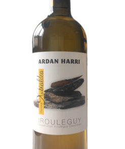 Ardan Harri