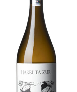 Harri ta Zur