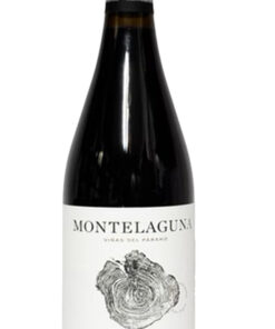 Montelaguna Viñas del Páramo