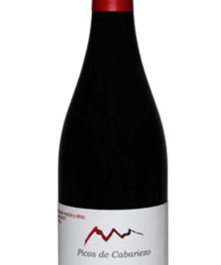 Picos de Cabariezo Selección