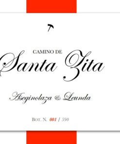 Alternative view of Camino de Santa Zita