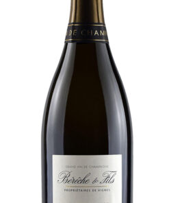 Bérêche & Fils Les Beaux Regards Ludes Premier Cru