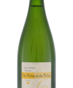 Des Boires et des Bulles Pétillant Natural blanc