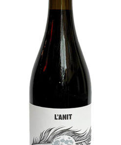 L'Anit de Frisach