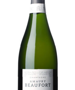 Amaury Beaufort Jardinot