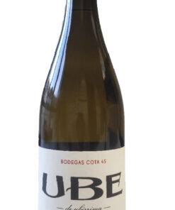 UBE Reventón